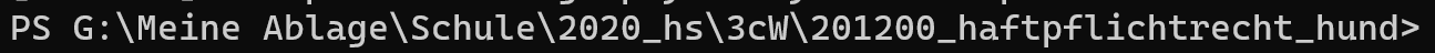Pfad im Windows Terminal